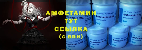 прущие грибы Абаза
