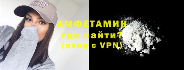 прущие грибы Абаза