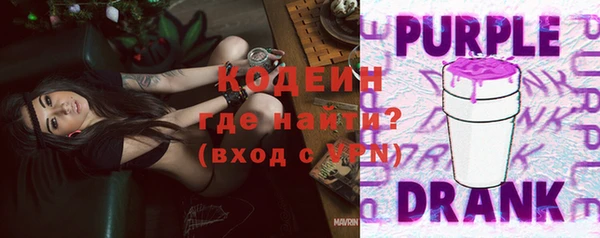 прущие грибы Абаза