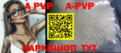 индика Кингисепп