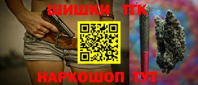 индика Кингисепп