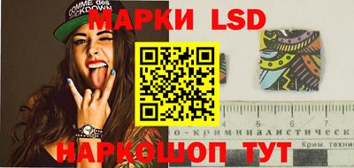 индика Кингисепп