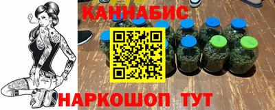 индика Кингисепп