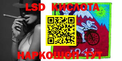 индика Кингисепп