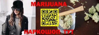 индика Кингисепп