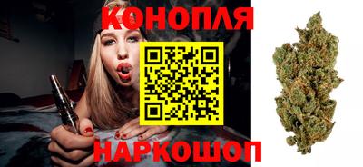 индика Кингисепп