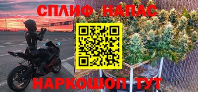 индика Кингисепп