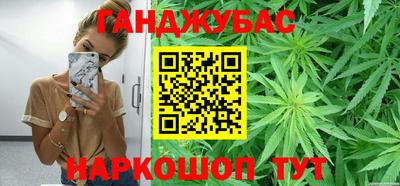 индика Кингисепп