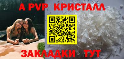индика Кингисепп