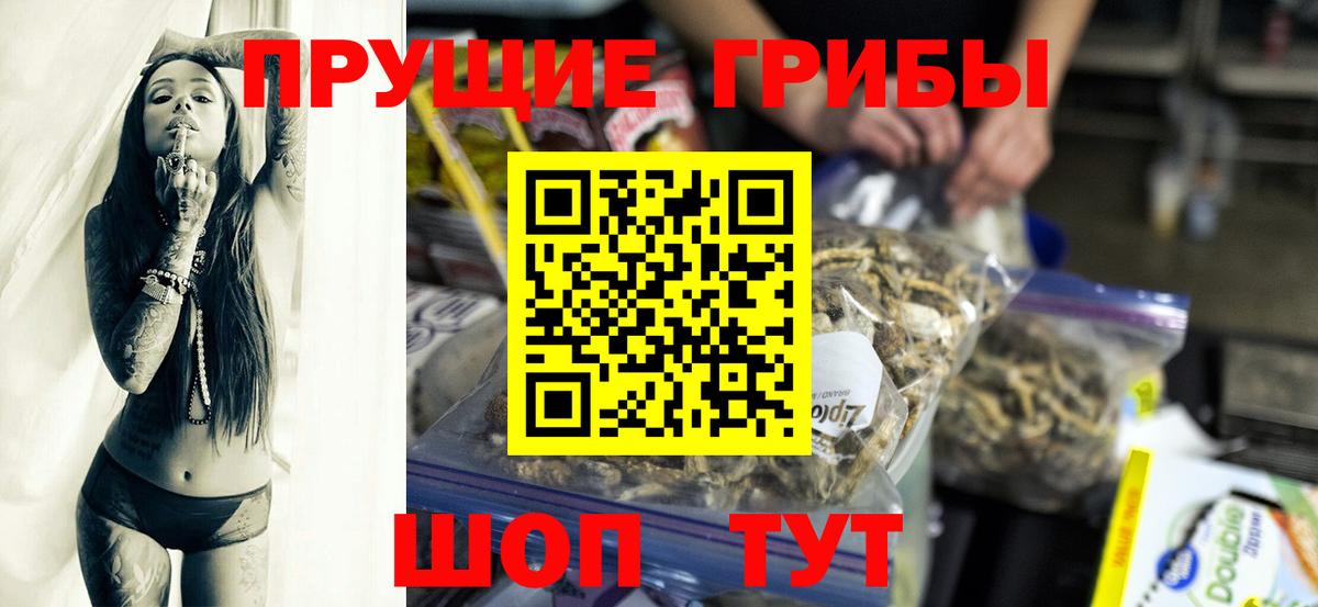 Псилоцибиновые грибы мицелий Отрадное