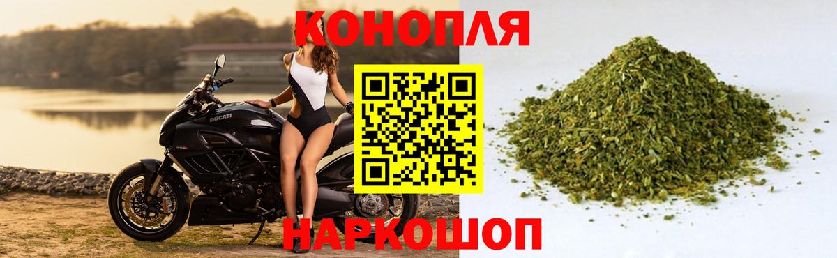Каннабис сатива Отрадное